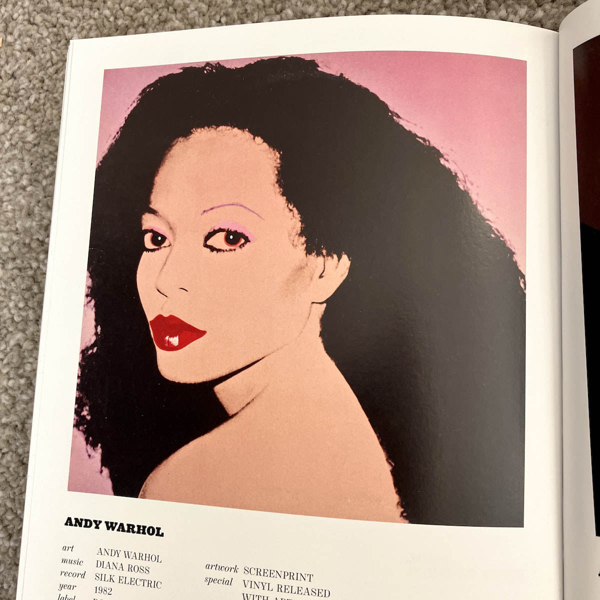 Diana Ross by Andy Warhol - Silk Electric album cover