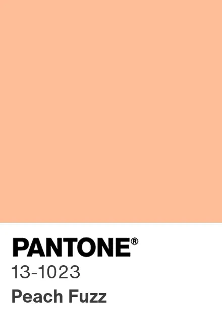 Peach Fuzz: Pantone Colour of the Year 2024 (credit: Pantone)